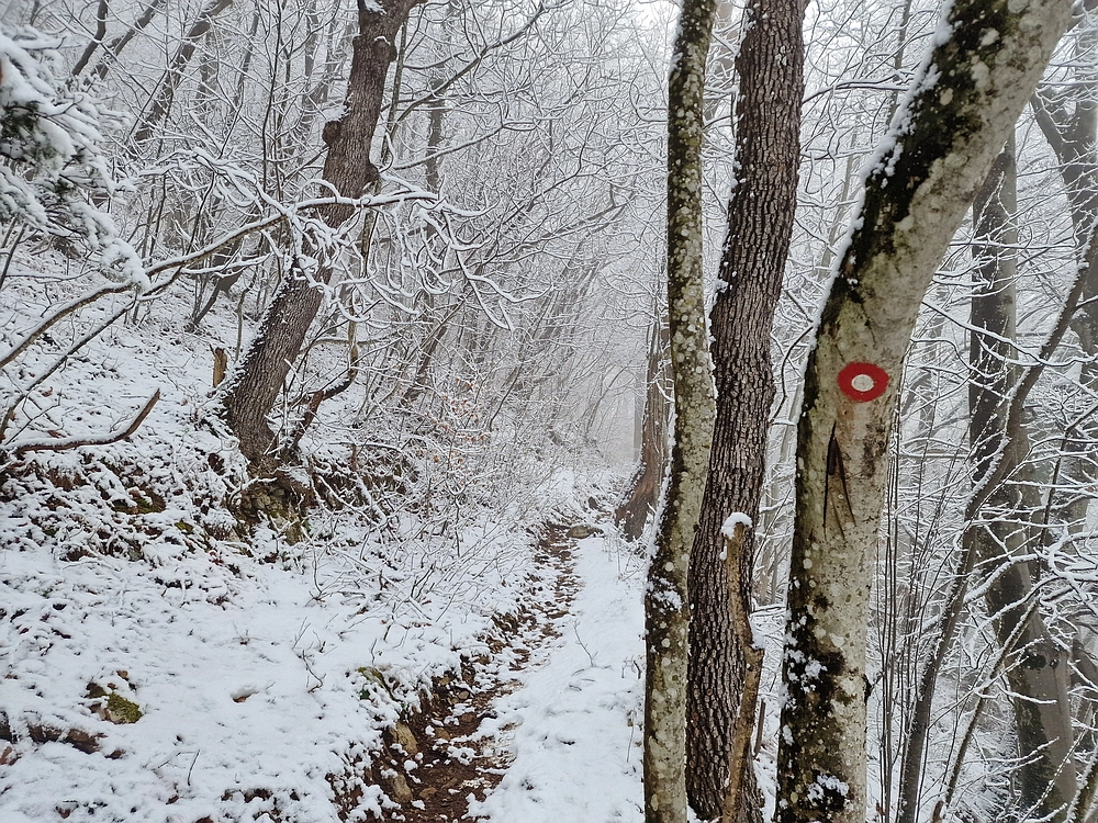 Stolpnik, 3. 1. 2026