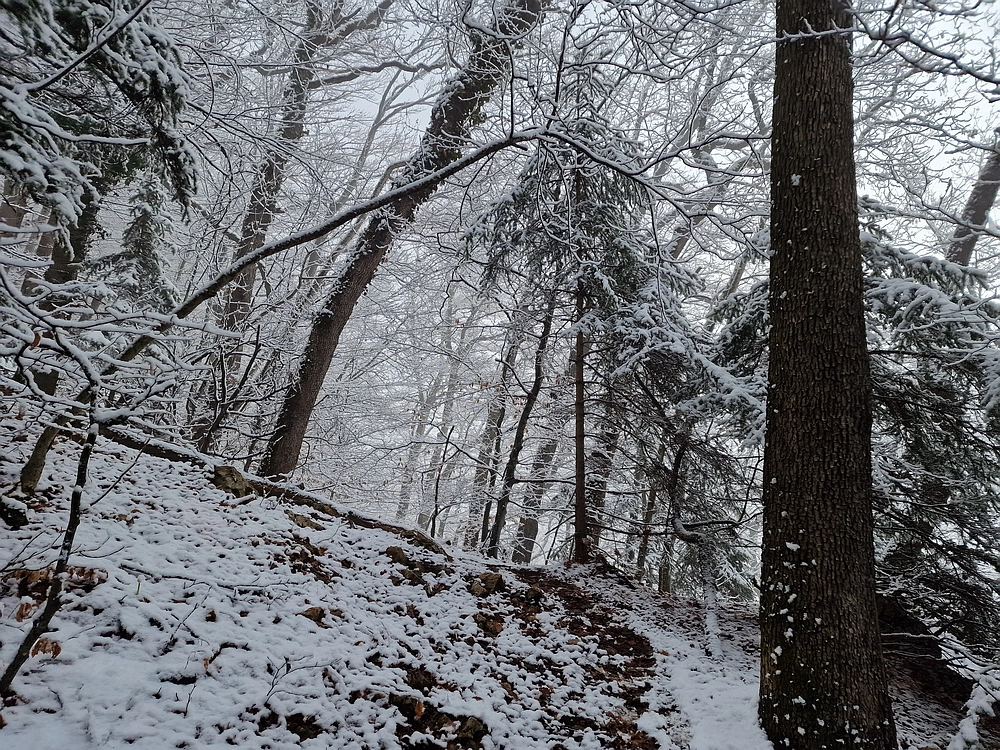 Stolpnik, 3. 1. 2026