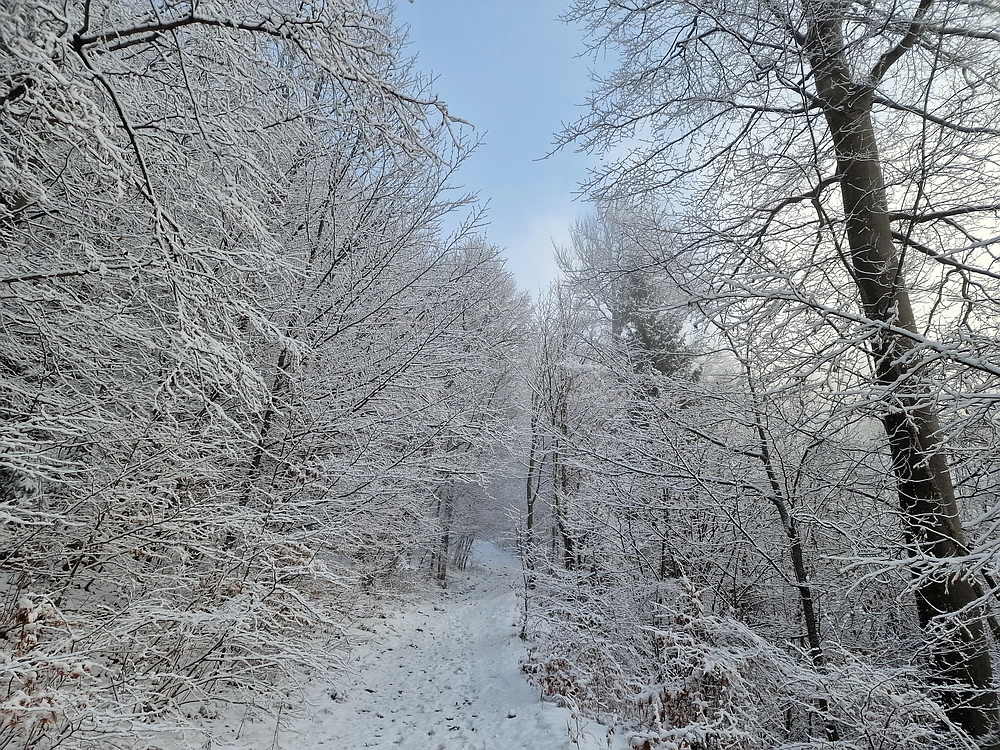 Stolpnik, 3. 1. 2026