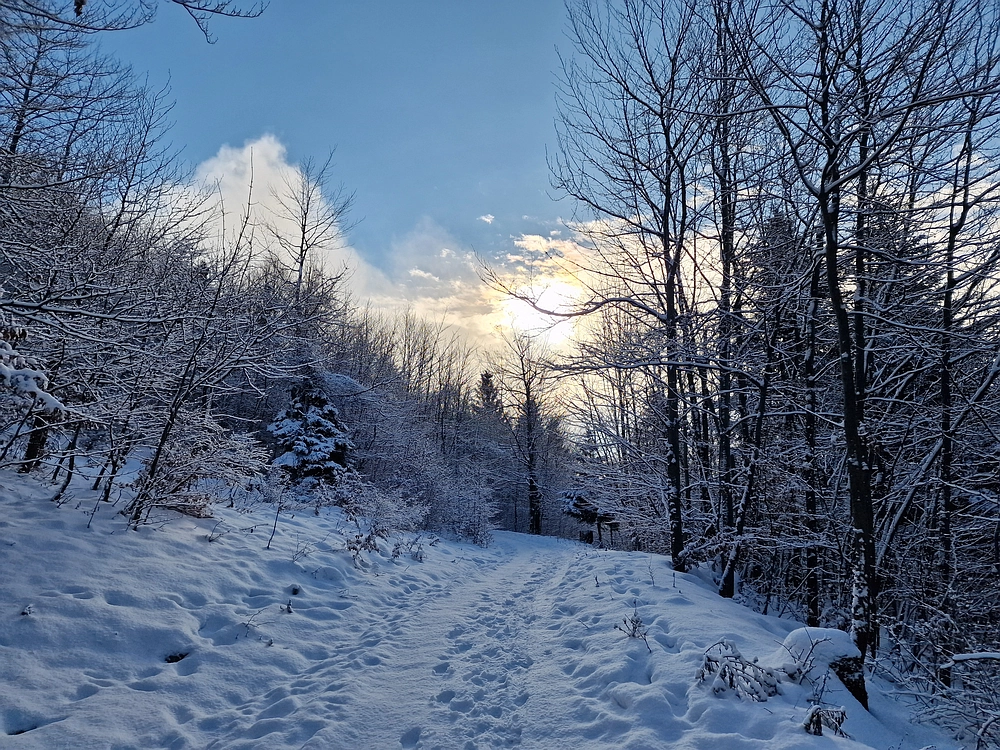 Stolpnik, 3. 1. 2026