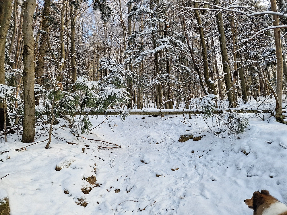 Stolpnik, 3. 1. 2026
