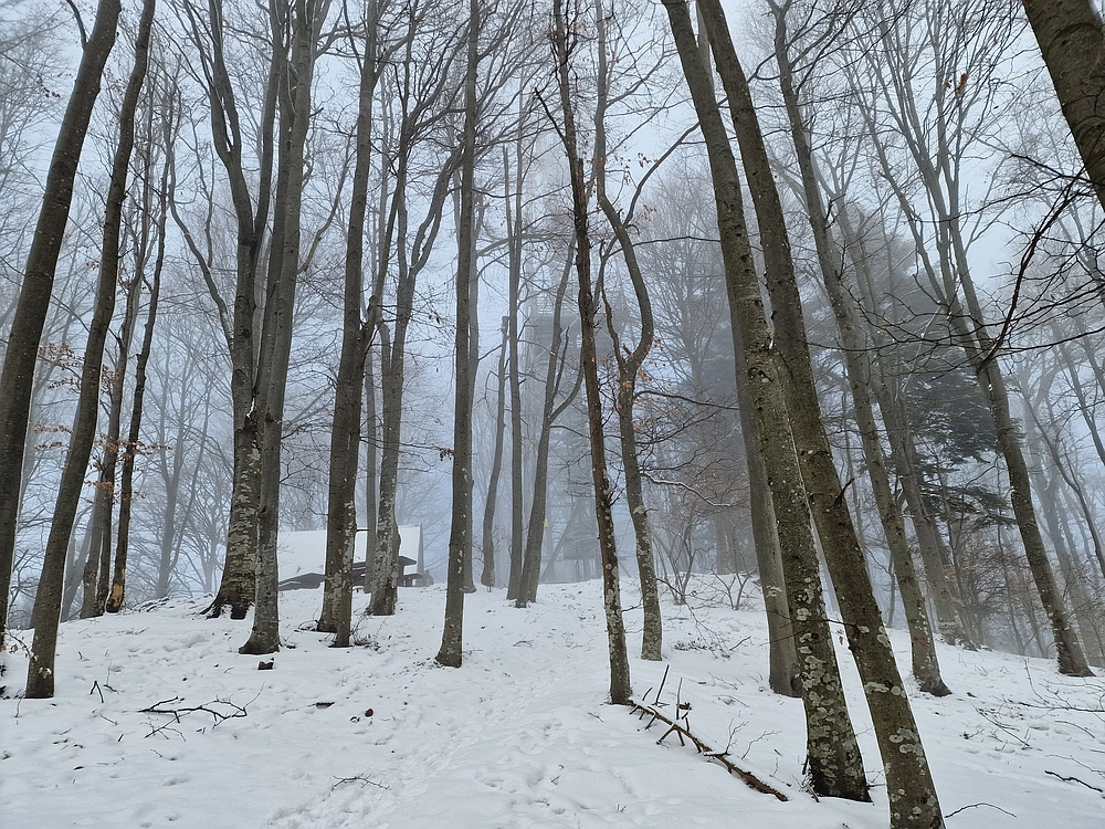 Stolpnik, 3. 1. 2026