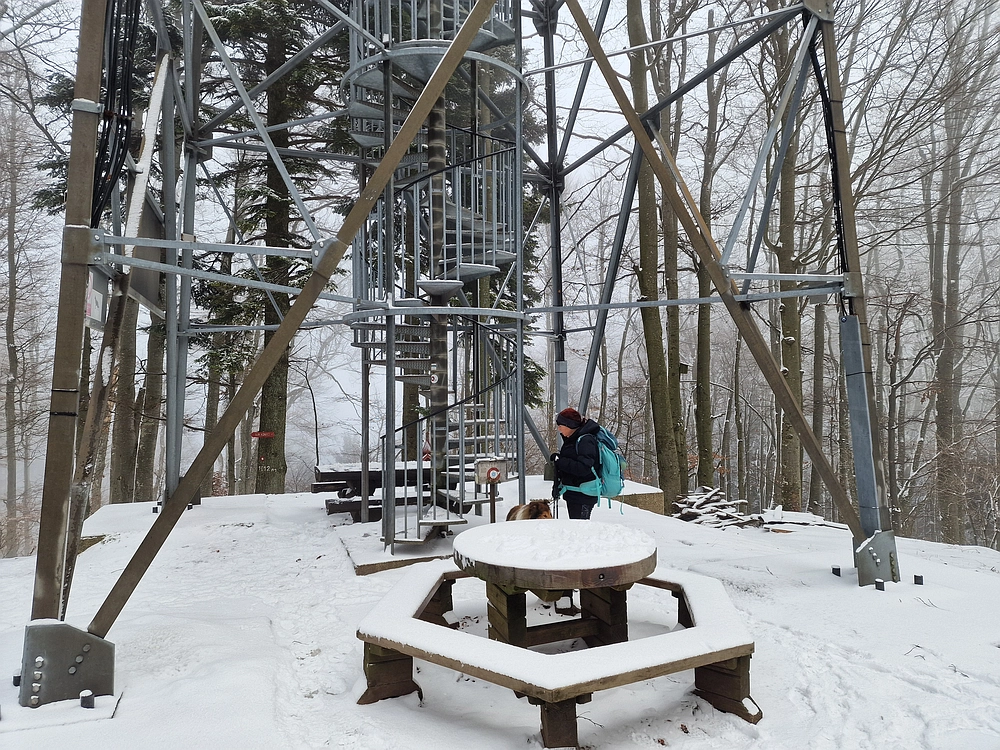 Stolpnik, 3. 1. 2026