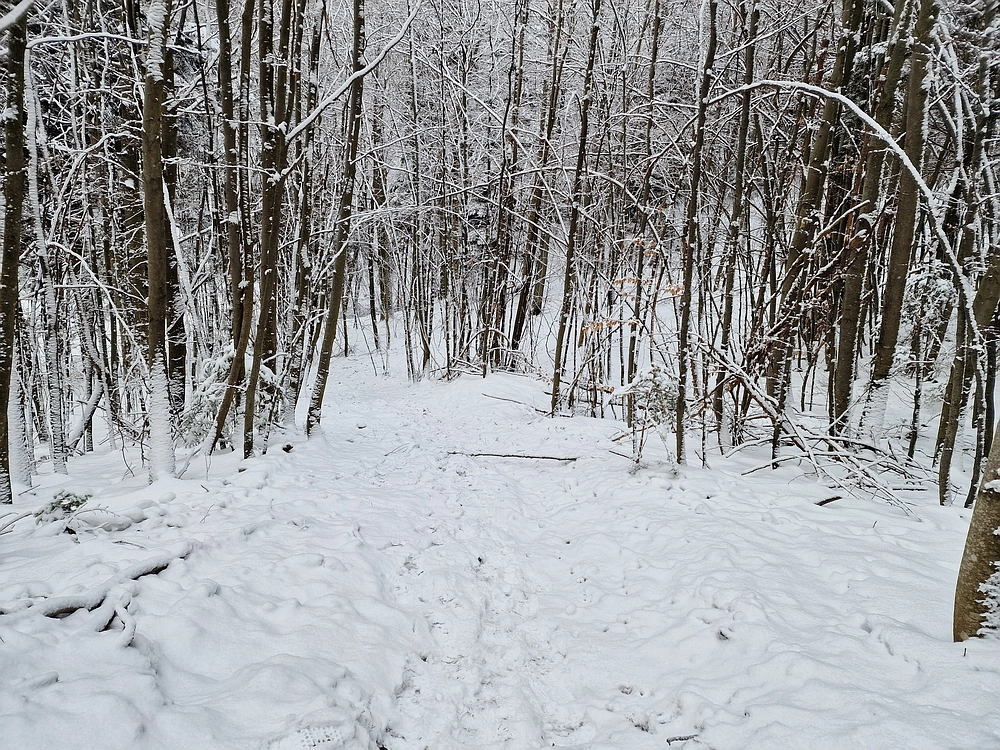 Stolpnik, 3. 1. 2026