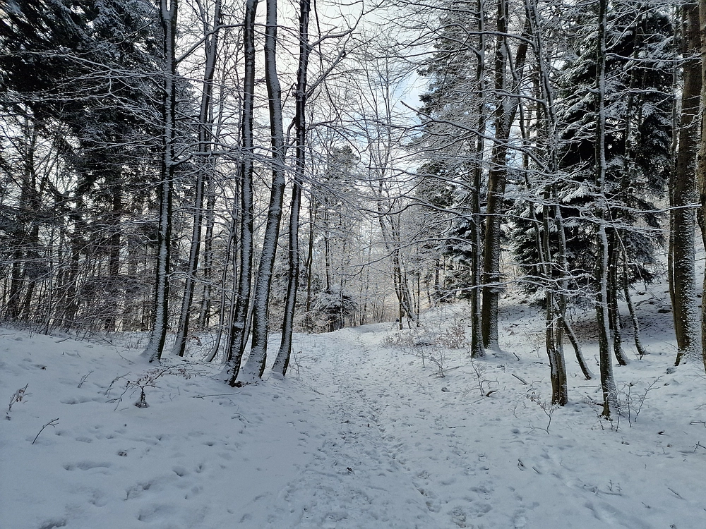 Stolpnik, 3. 1. 2026