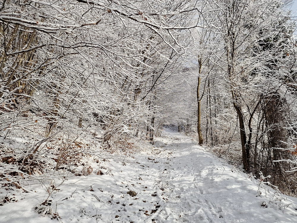 Stolpnik, 3. 1. 2026