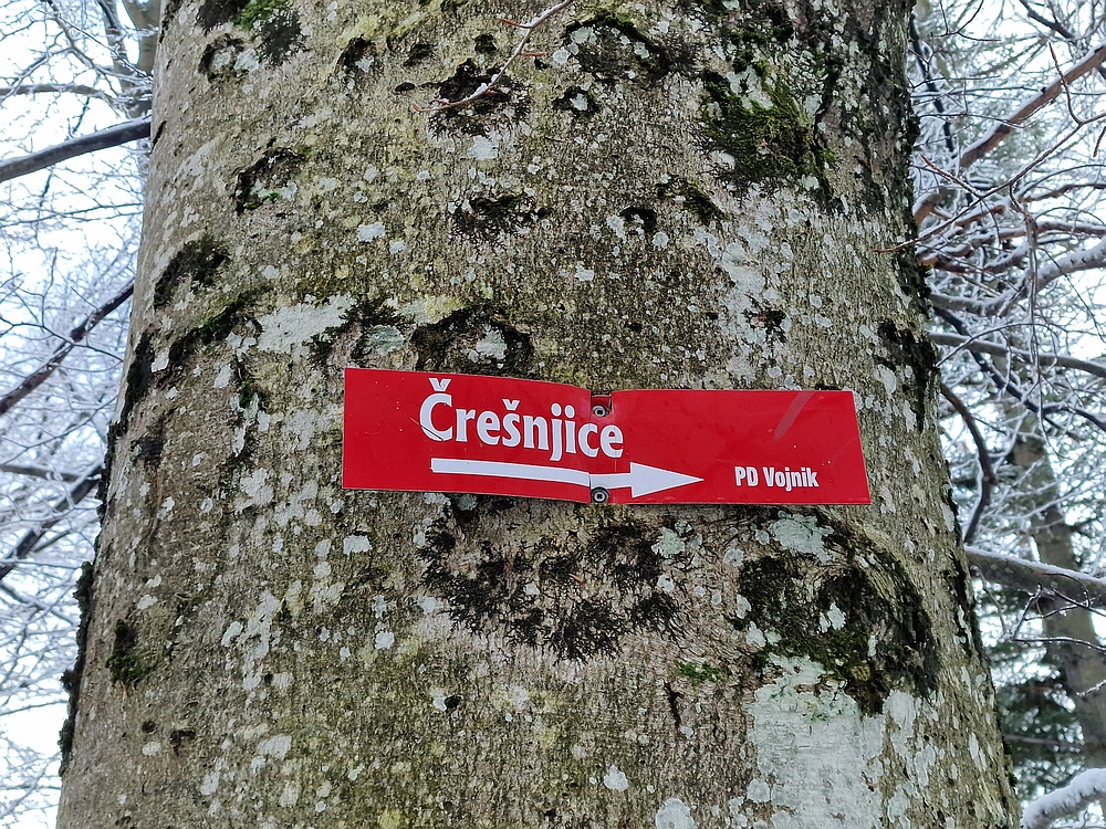 Stolpnik, 3. 1. 2026