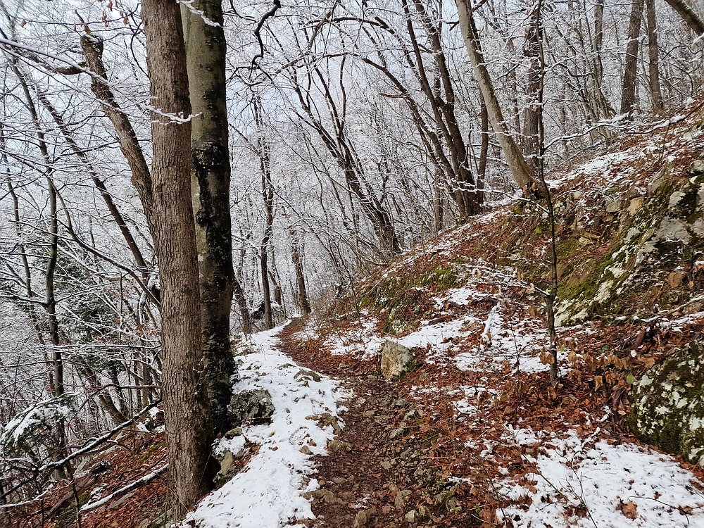 Stolpnik, 3. 1. 2026