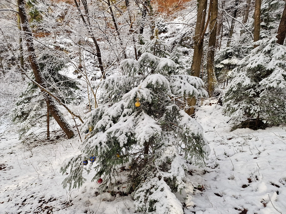 Stolpnik, 3. 1. 2026