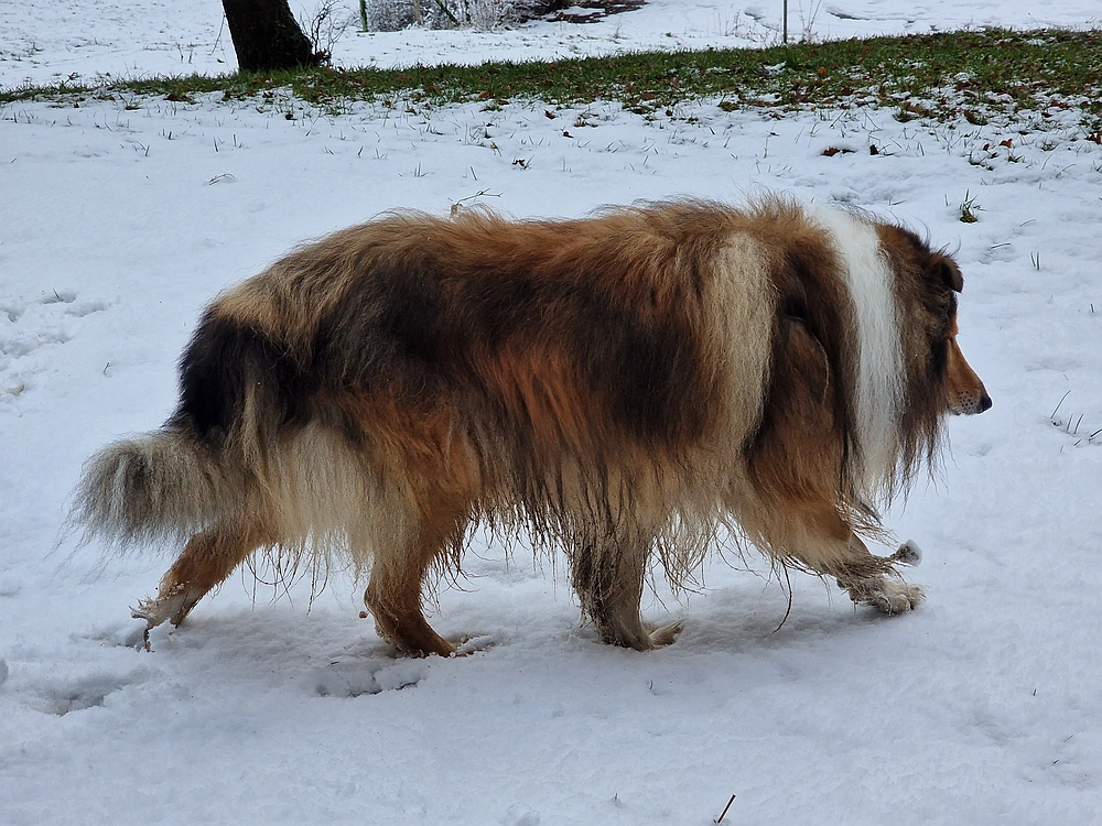 Stolpnik, 3. 1. 2026