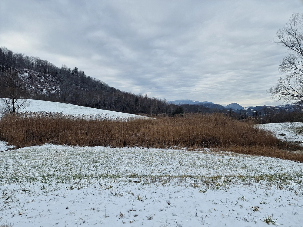 Žrebljev hrib, 4. 1. 2026