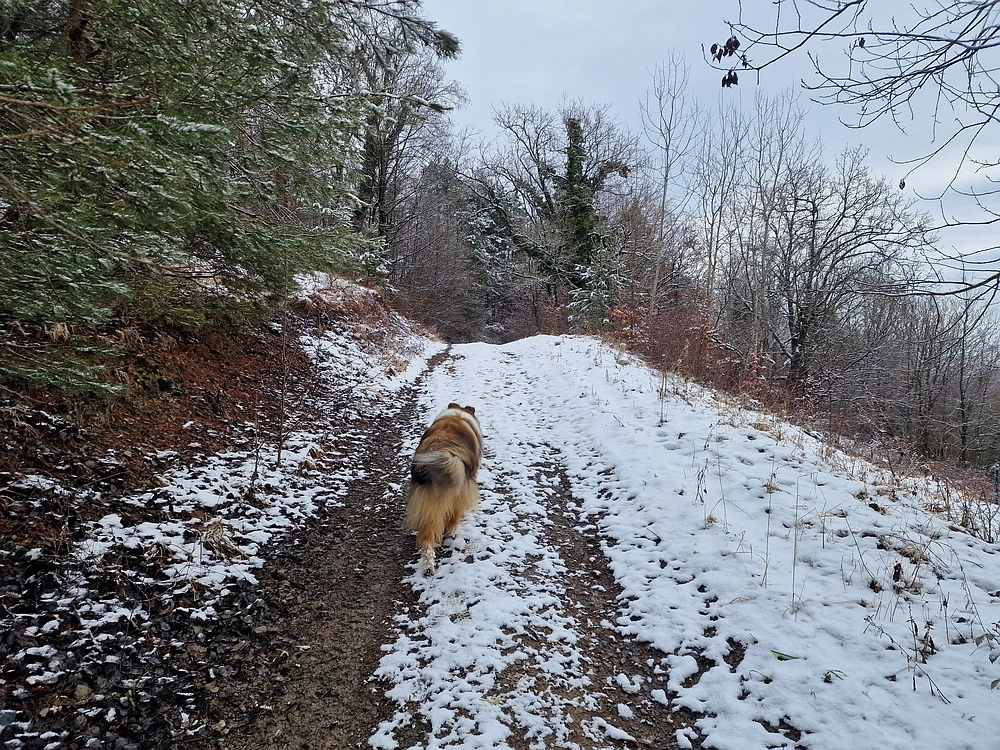 Žrebljev hrib, 4. 1. 2026