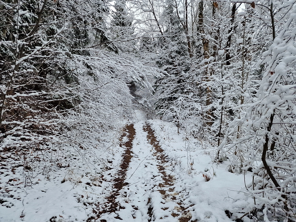 Žrebljev hrib, 4. 1. 2026