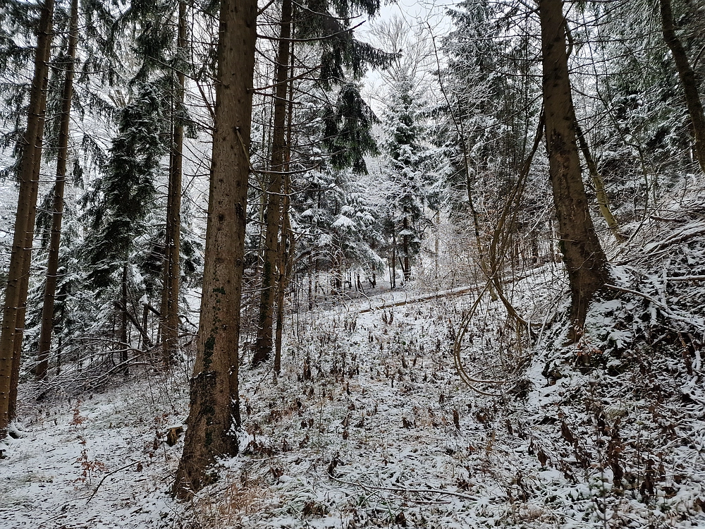 Žrebljev hrib, 4. 1. 2026