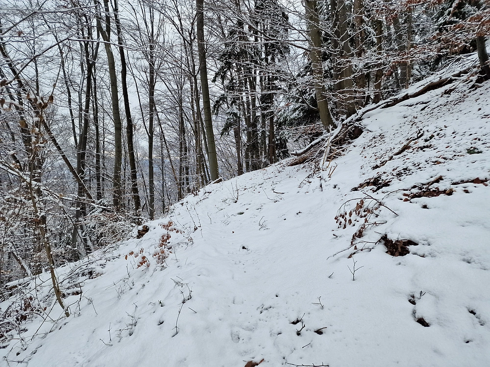 Žrebljev hrib, 4. 1. 2026