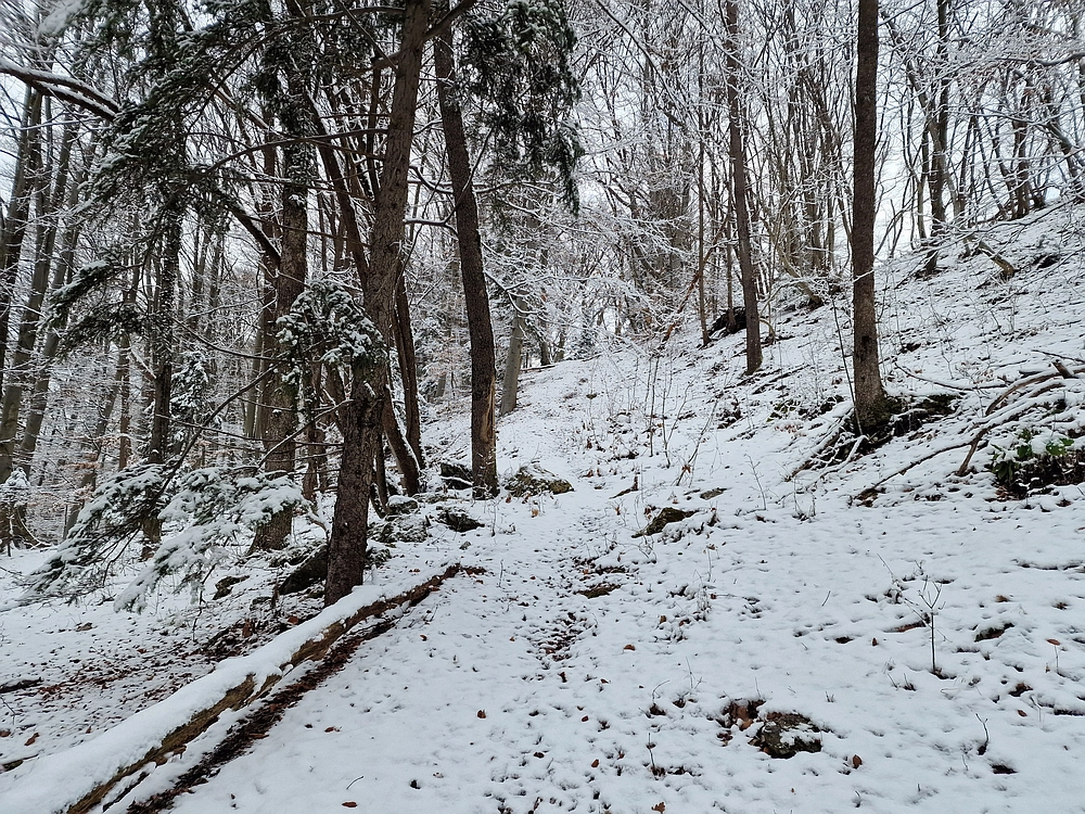 Žrebljev hrib, 4. 1. 2026