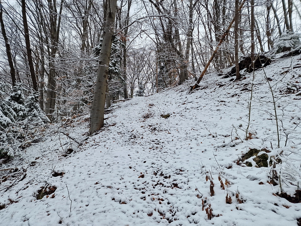 Žrebljev hrib, 4. 1. 2026