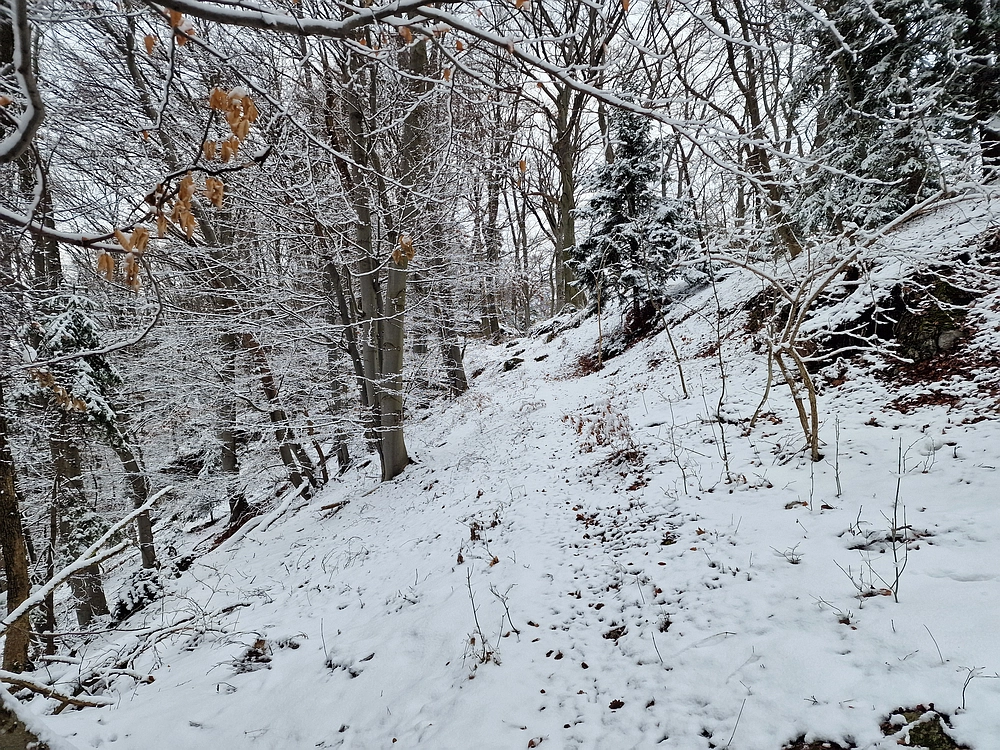 Žrebljev hrib, 4. 1. 2026