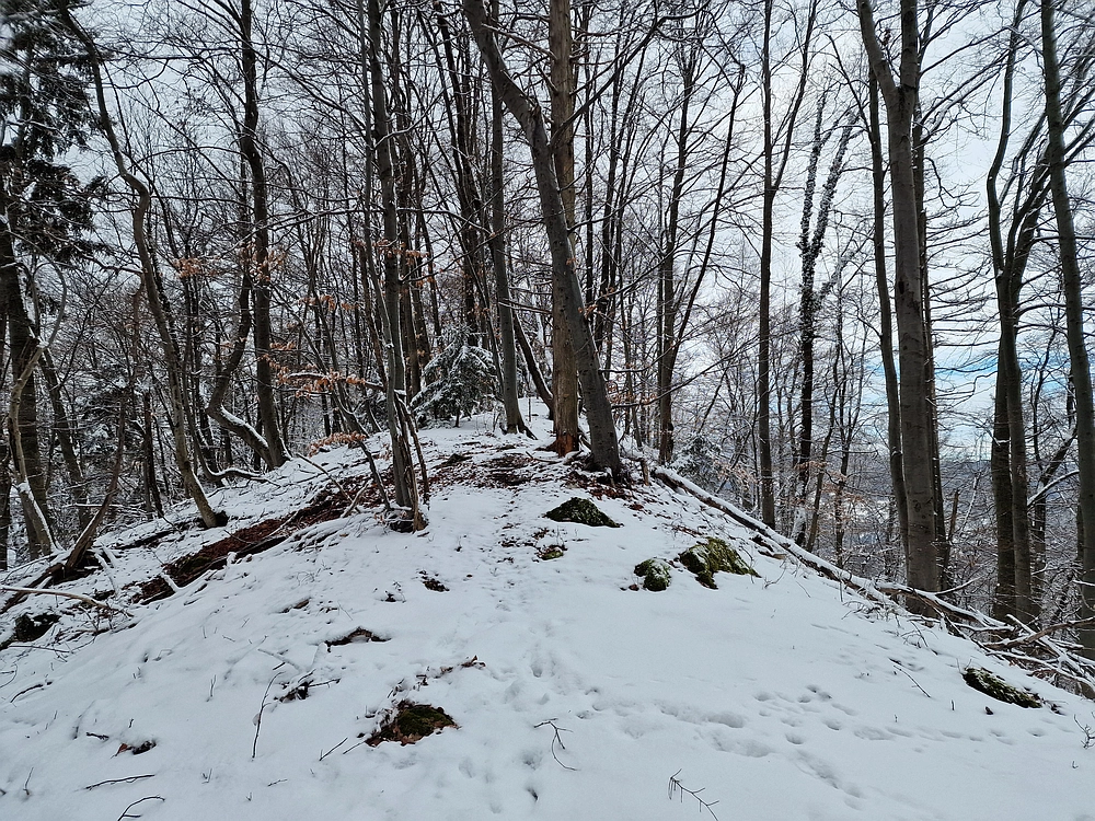 Žrebljev hrib, 4. 1. 2026