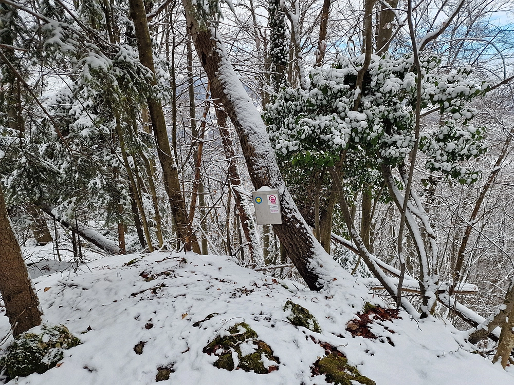 Žrebljev hrib, 4. 1. 2026