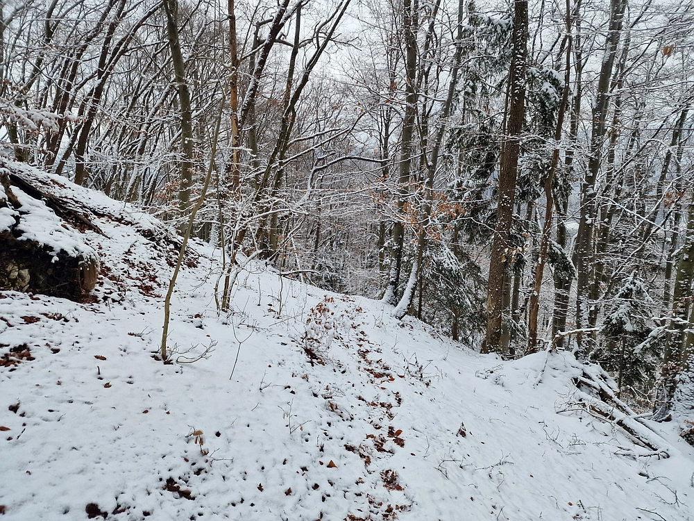 Žrebljev hrib, 4. 1. 2026