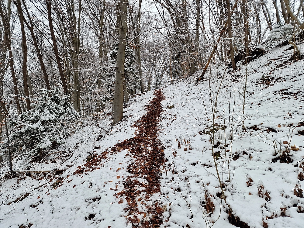 Žrebljev hrib, 4. 1. 2026