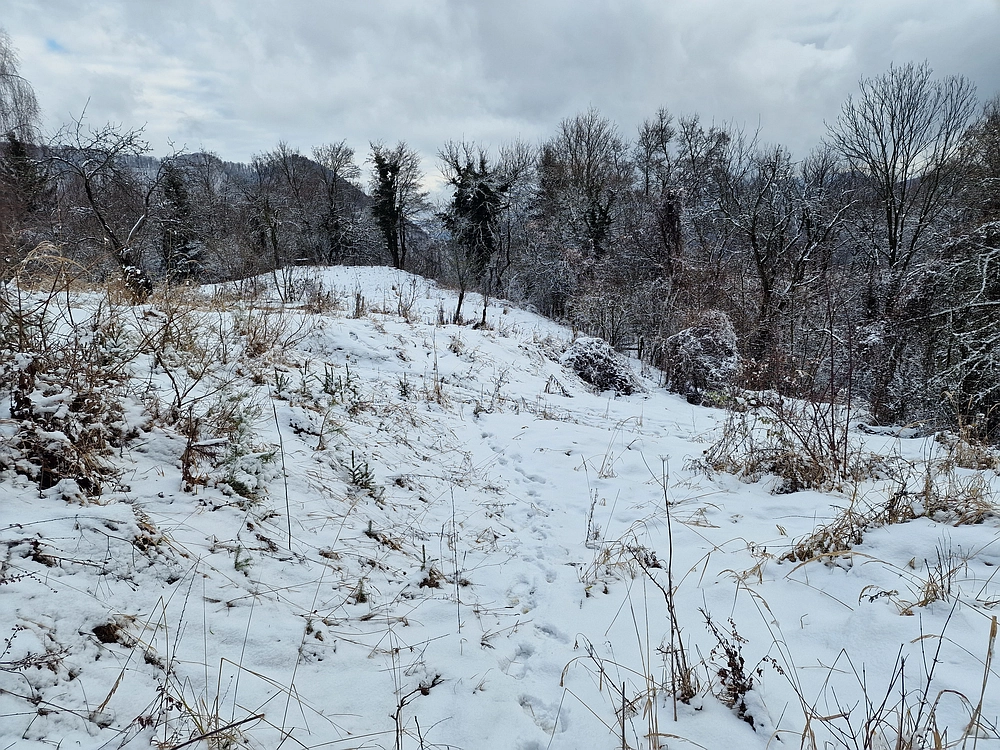 Žrebljev hrib, 4. 1. 2026