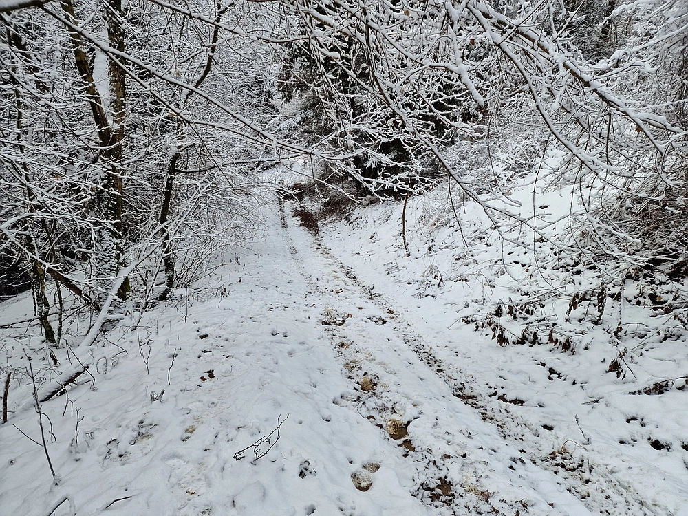 Žrebljev hrib, 4. 1. 2026