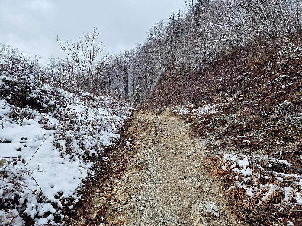 Žrebljev hrib, 4. 1. 2026