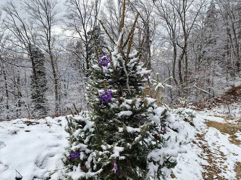 Žrebljev hrib, 4. 1. 2026