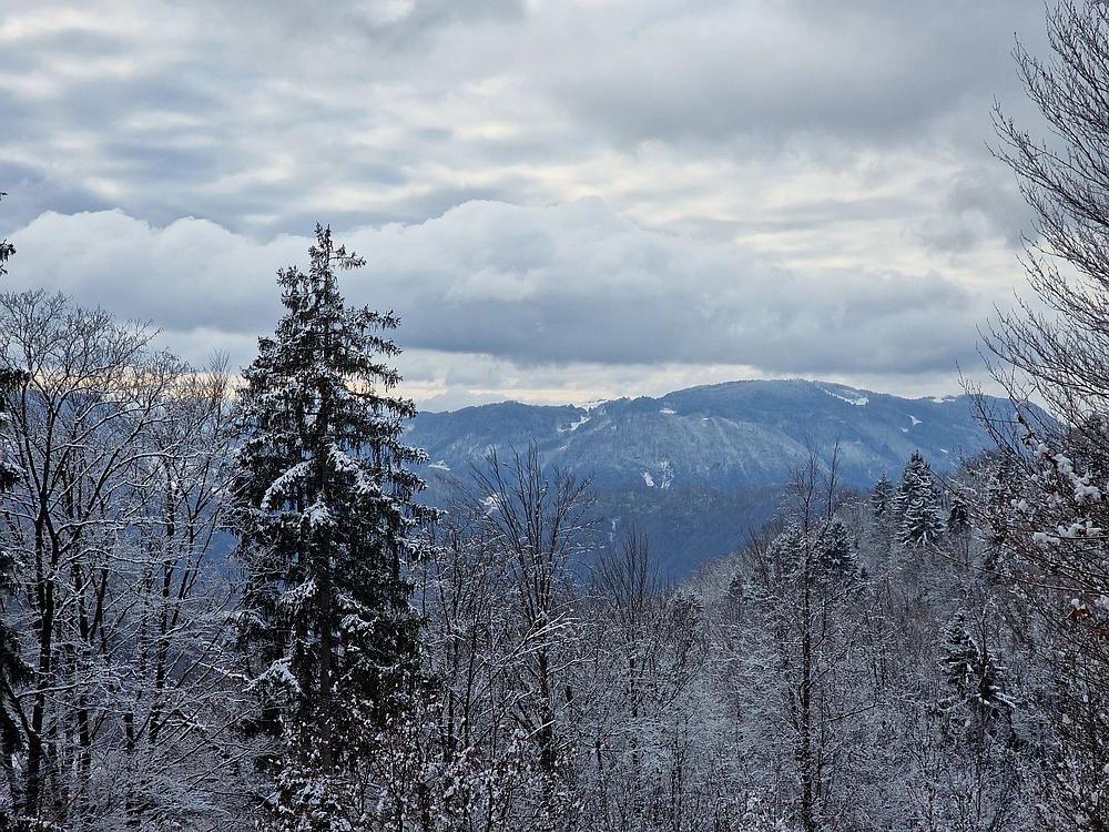 Žrebljev hrib, 4. 1. 2026