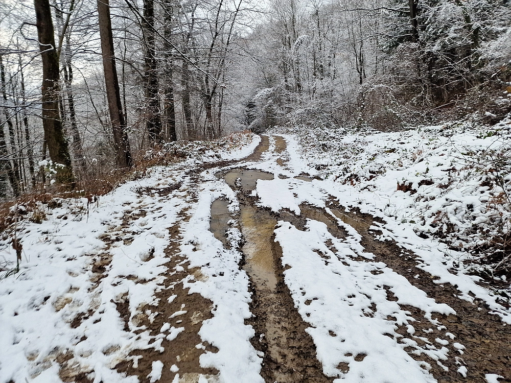 Žrebljev hrib, 4. 1. 2026