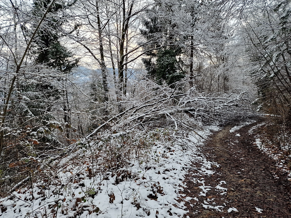 Žrebljev hrib, 4. 1. 2026