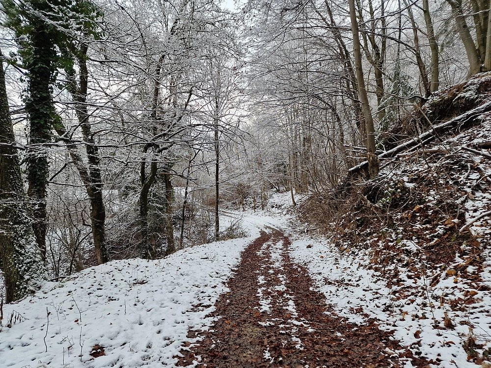 Žrebljev hrib, 4. 1. 2026