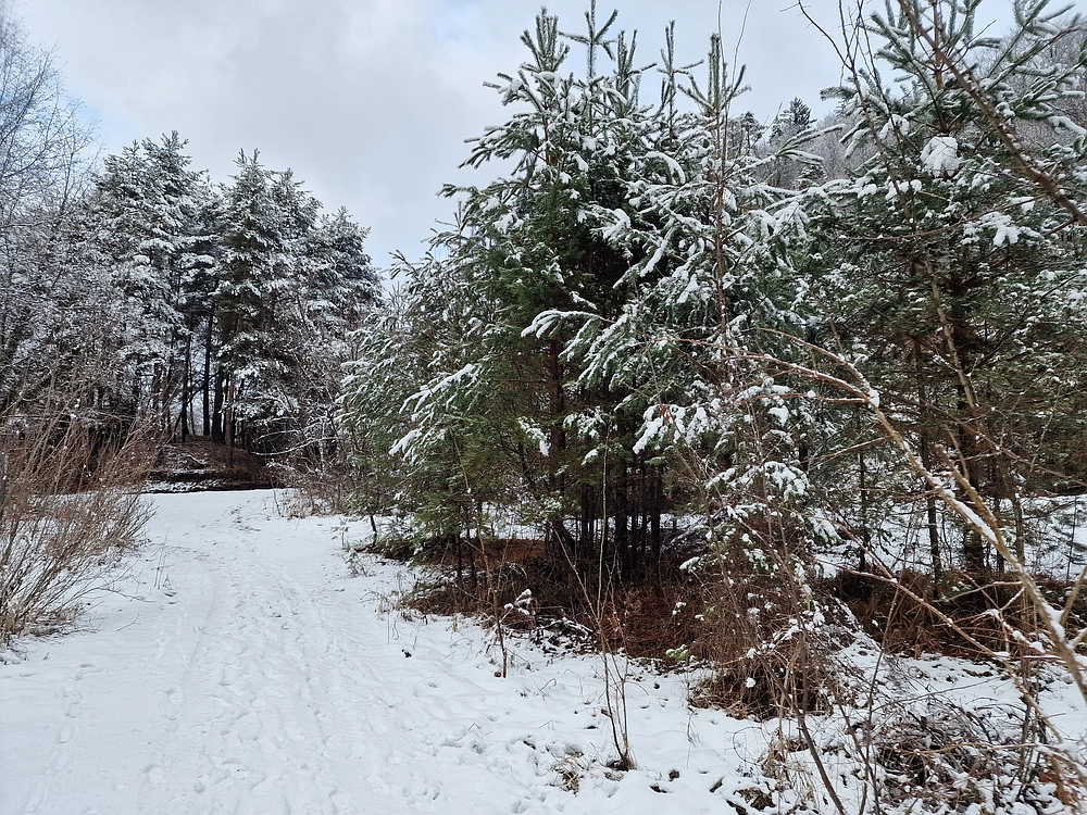 Žrebljev hrib, 4. 1. 2026