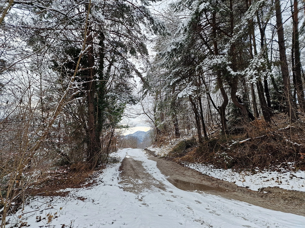 Žrebljev hrib, 4. 1. 2026
