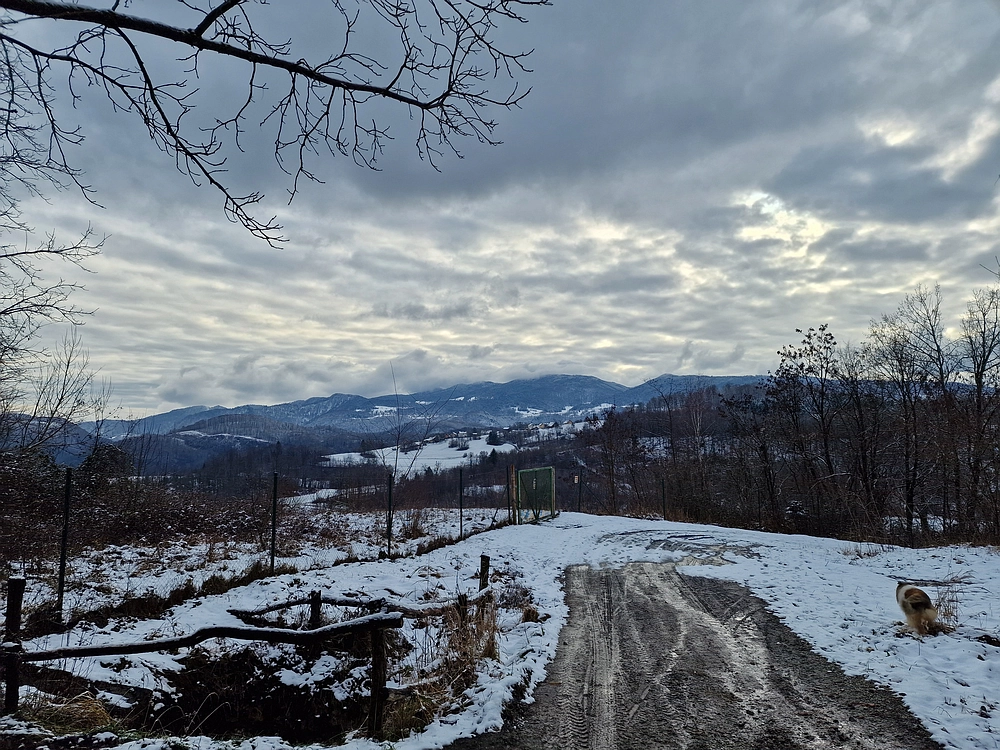 Žrebljev hrib, 4. 1. 2026
