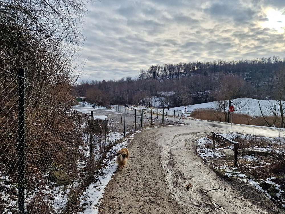 Žrebljev hrib, 4. 1. 2026