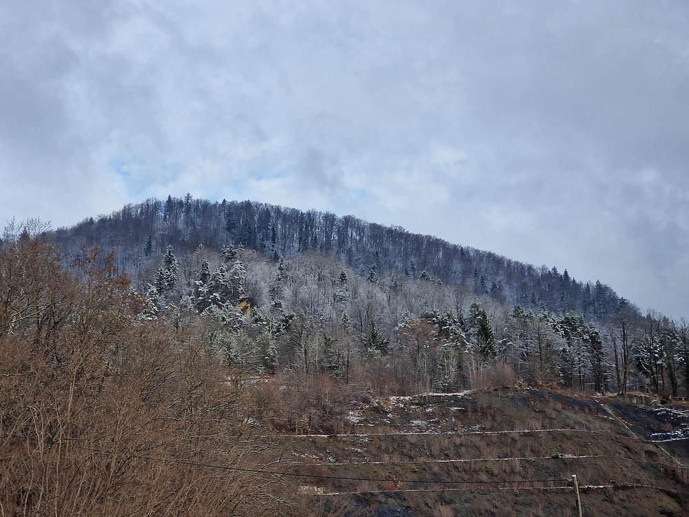 Žrebljev hrib, 4. 1. 2026