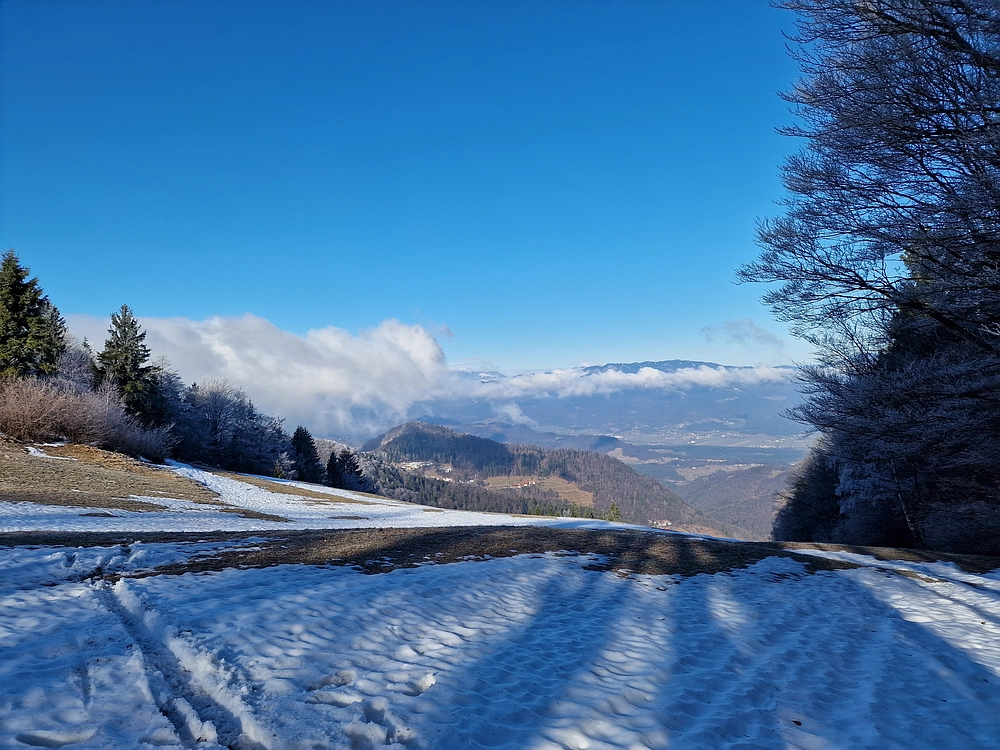 Javor, Sv. Planina, 18. 1. 2026