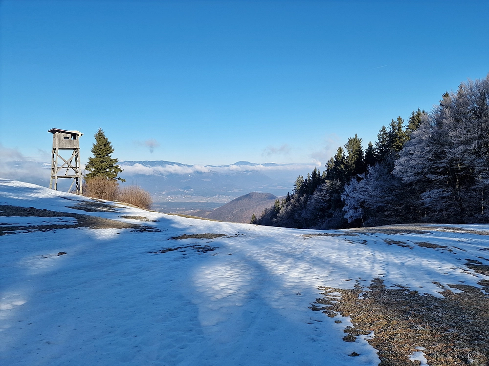 Javor, Sv. Planina, 18. 1. 2026