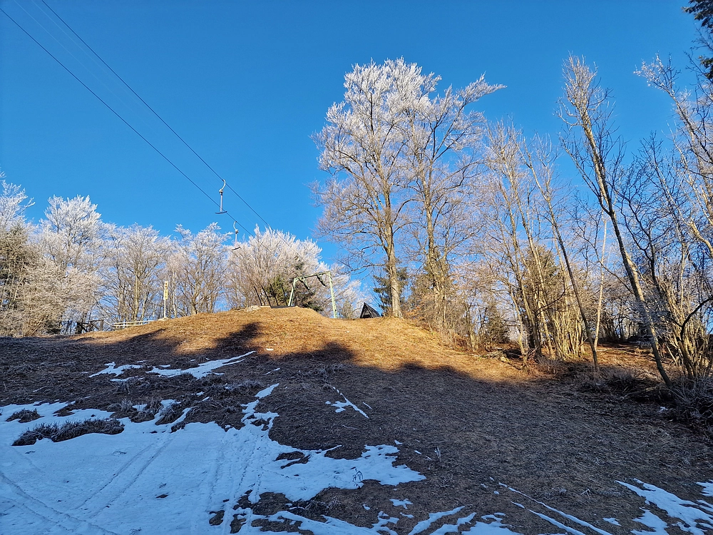 Javor, Sv. Planina, 18. 1. 2026