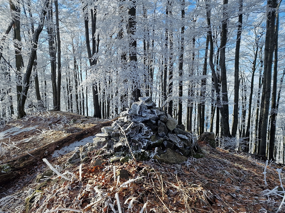 Javor, Sv. Planina, 18. 1. 2026