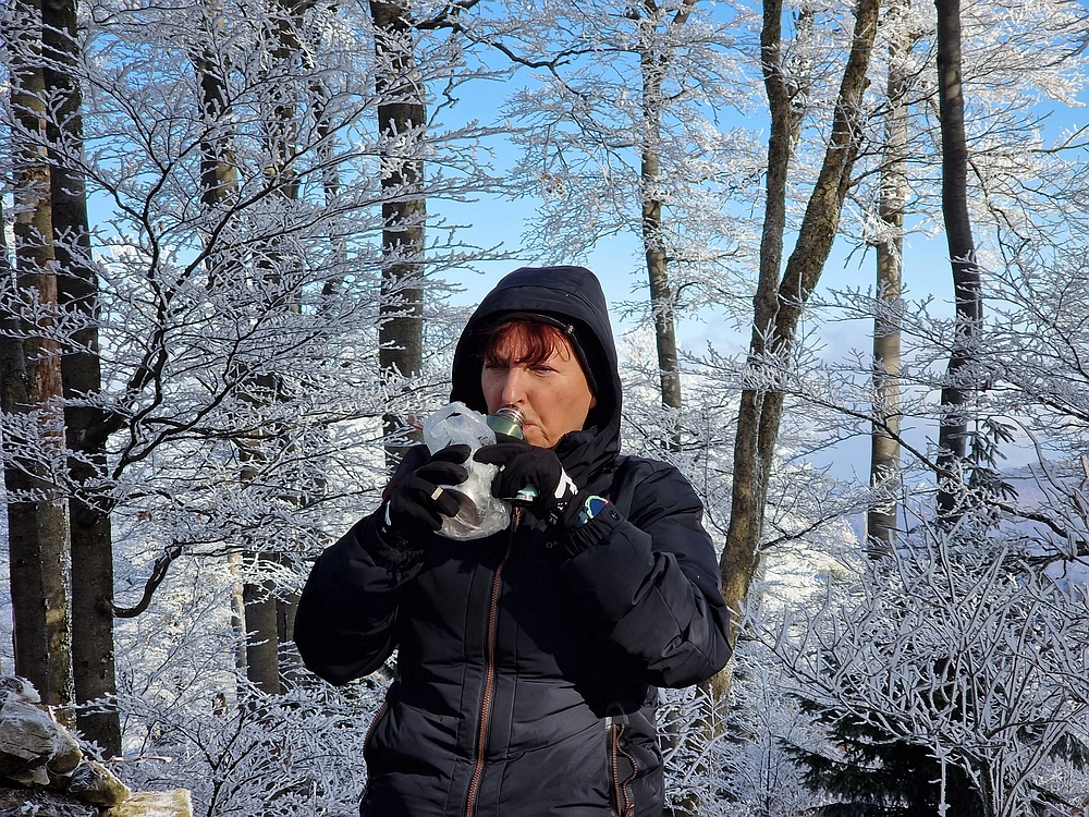 Javor, Sv. Planina, 18. 1. 2026