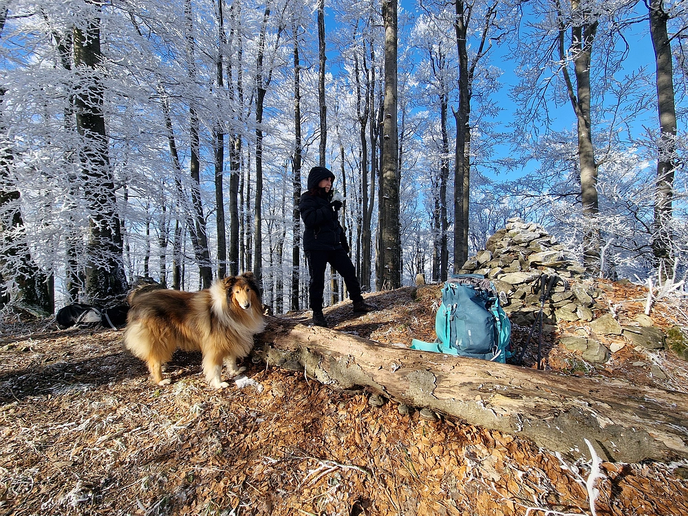 Javor, Sv. Planina, 18. 1. 2026