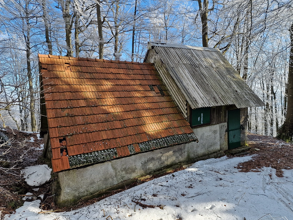 Javor, Sv. Planina, 18. 1. 2026