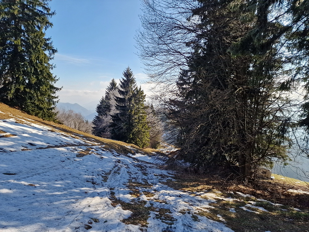 Javor, Sv. Planina, 18. 1. 2026