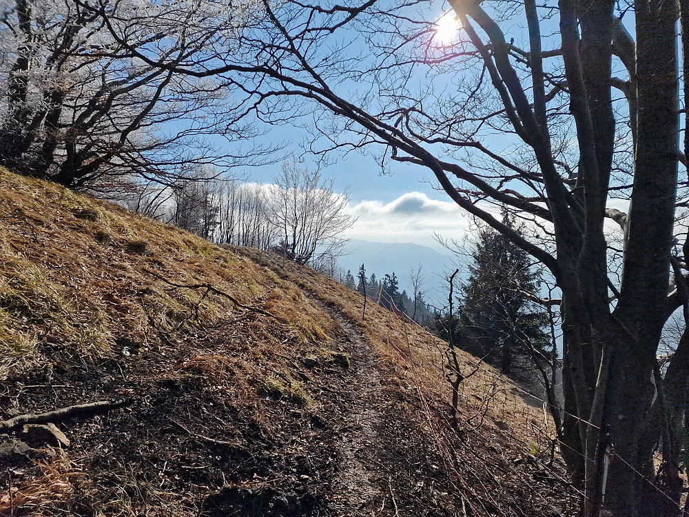 Javor, Sv. Planina, 18. 1. 2026