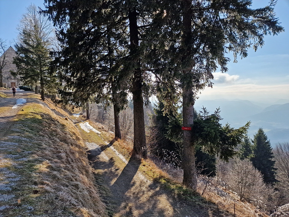 Javor, Sv. Planina, 18. 1. 2026