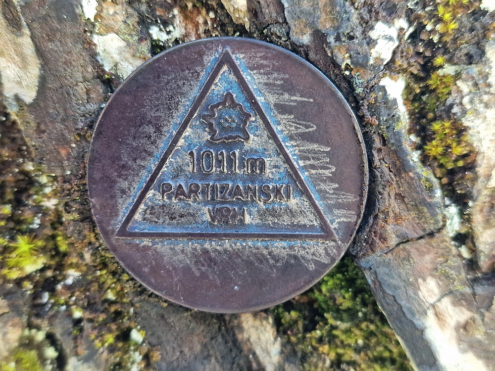 Javor, Sv. Planina, 18. 1. 2026